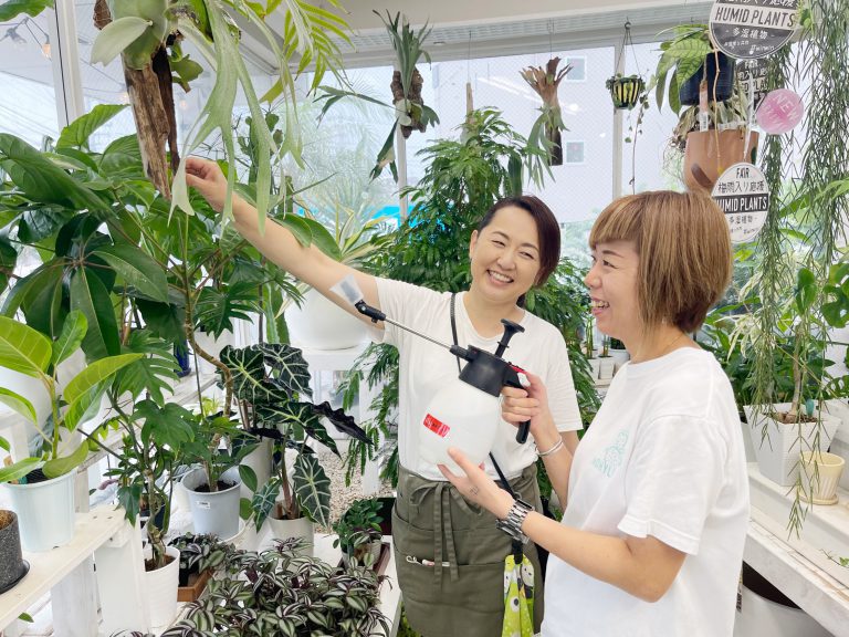 植物部門